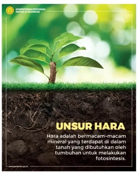 Memperbaiki tanah